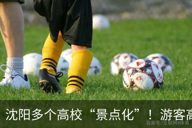 沈阳多个高校“景点化”！游客高兴，学生却懵了...