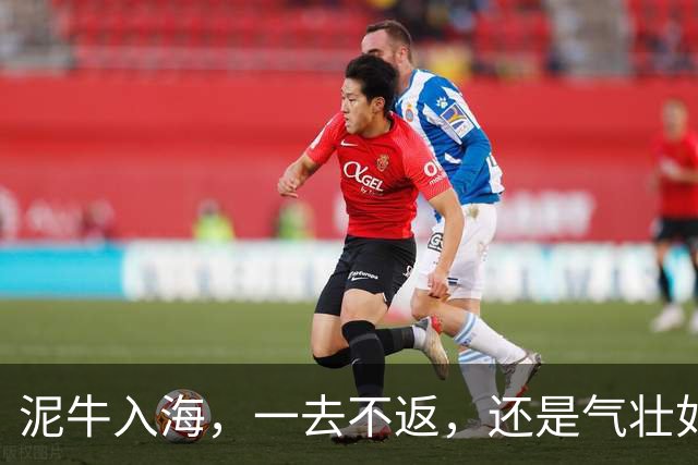 泥牛入海，一去不返，还是气壮如牛，卷土重来？这些新星给出了答案